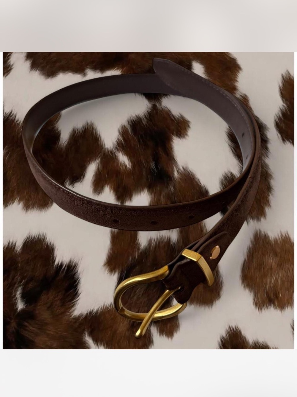 Princess Polly Dark Brown Leather Belt with Gold Buckle